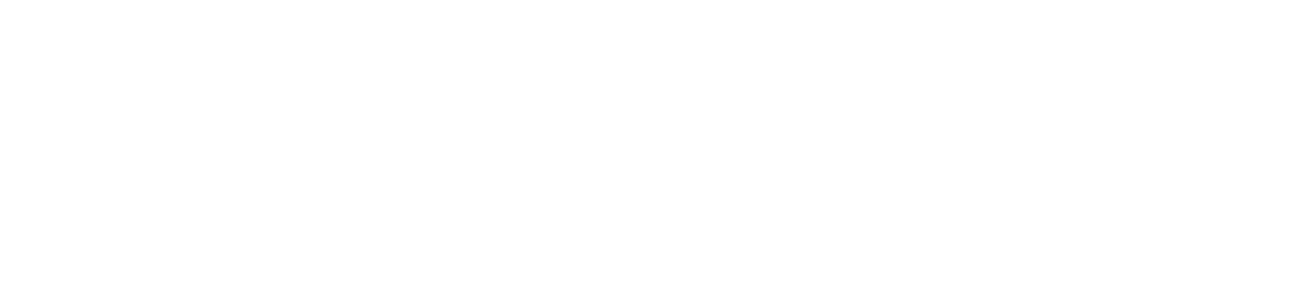 PipeSolv